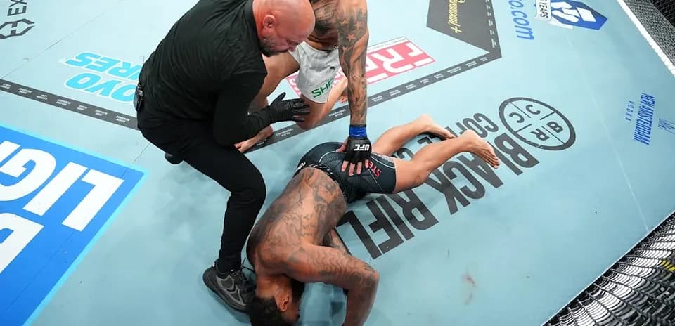 Referee checking on downed fighter in octagon