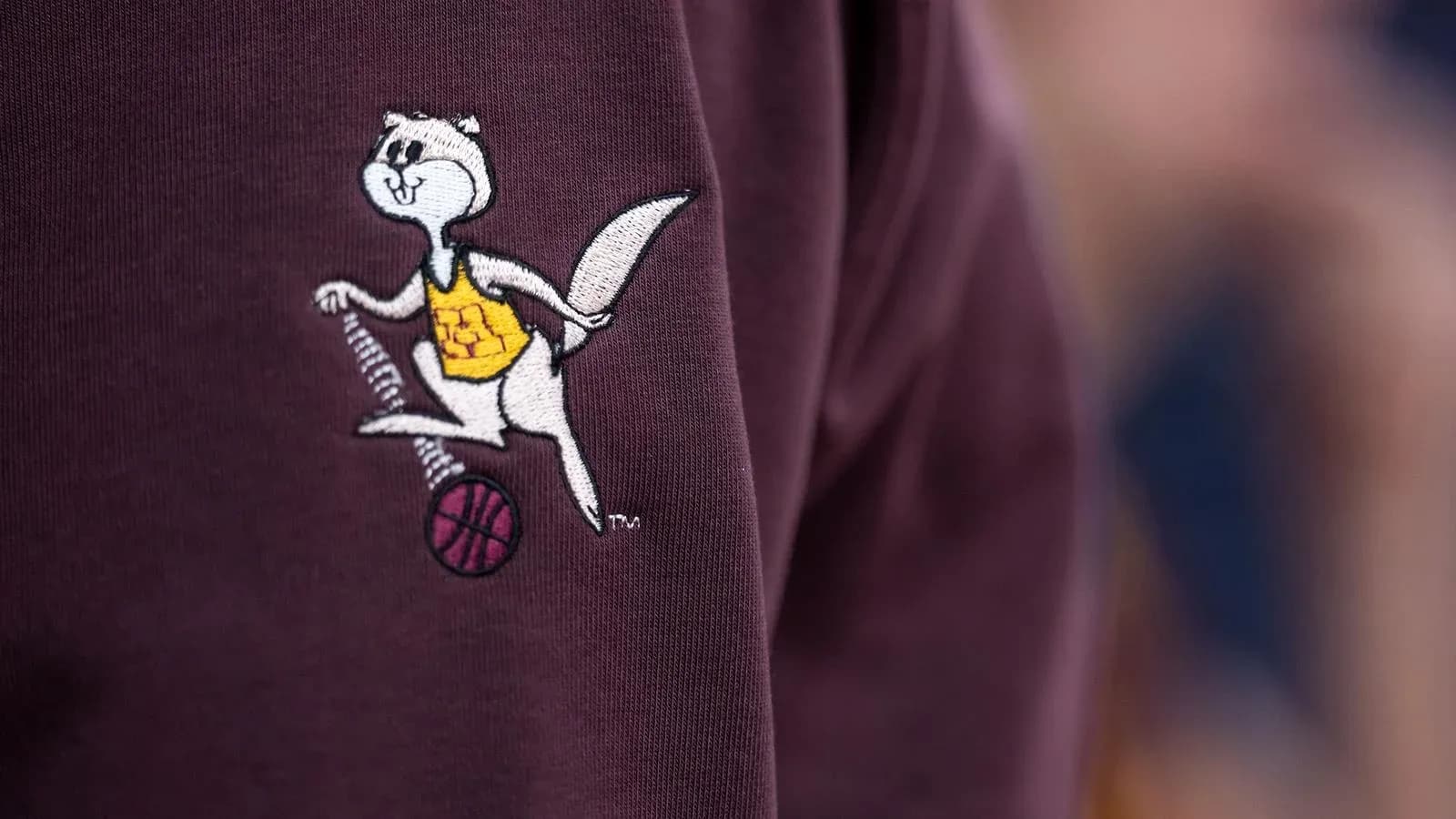 Embroidered mascot logo on maroon clothing