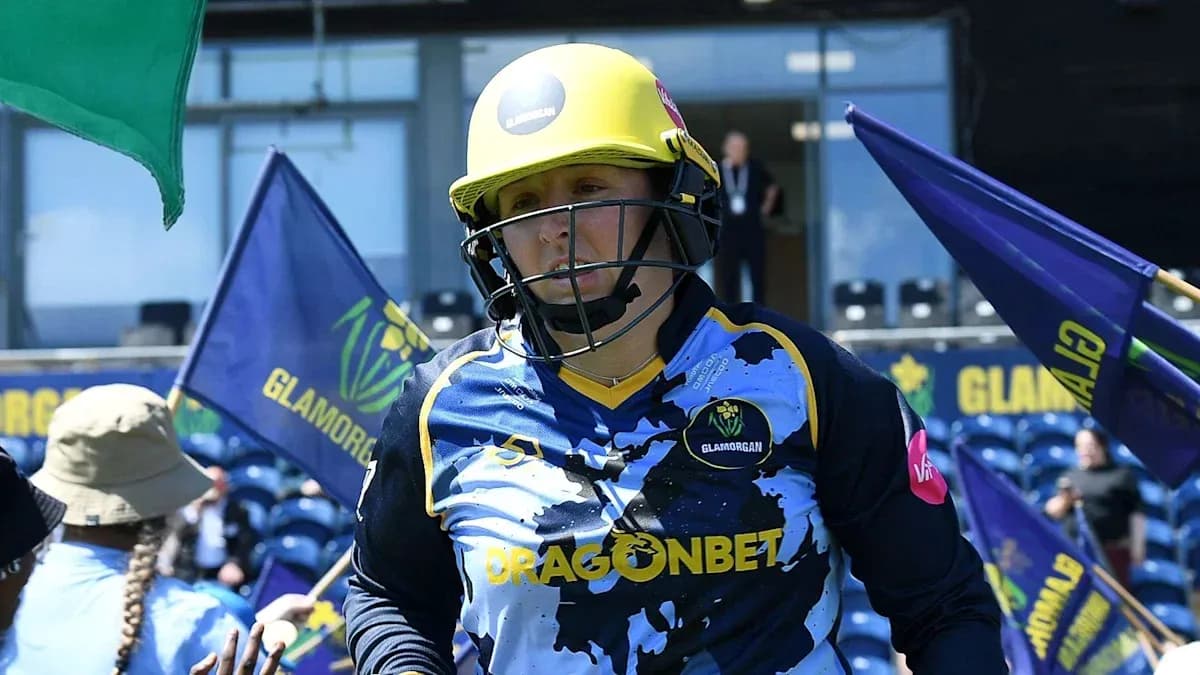 Cricketer from Glamorgan entering the field with flags