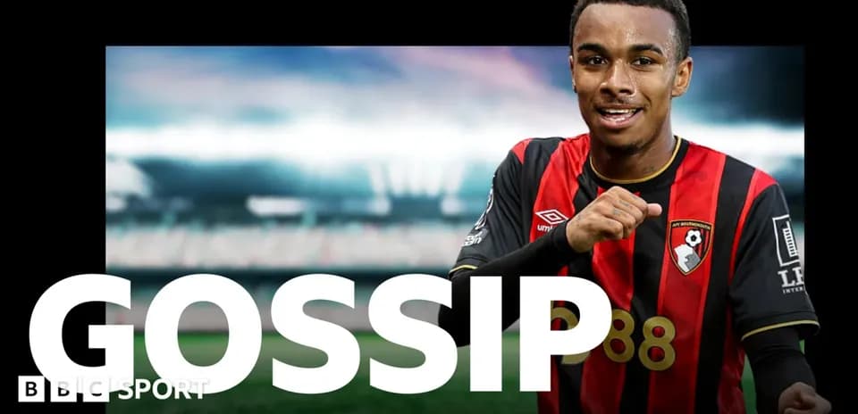 Player in AFC Bournemouth jersey celebrating on pitch