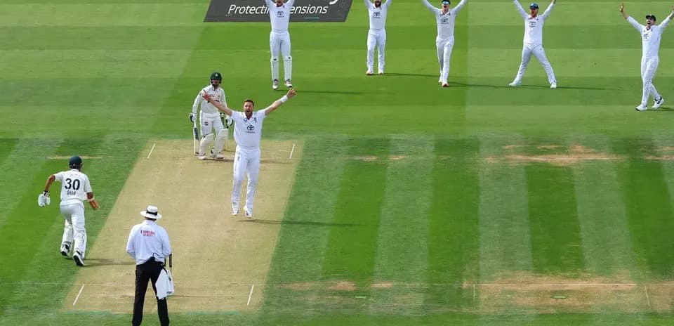 Players celebrating a wicket during a cricket match