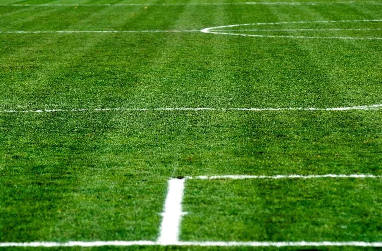 Close-up of freshly marked soccer field lines