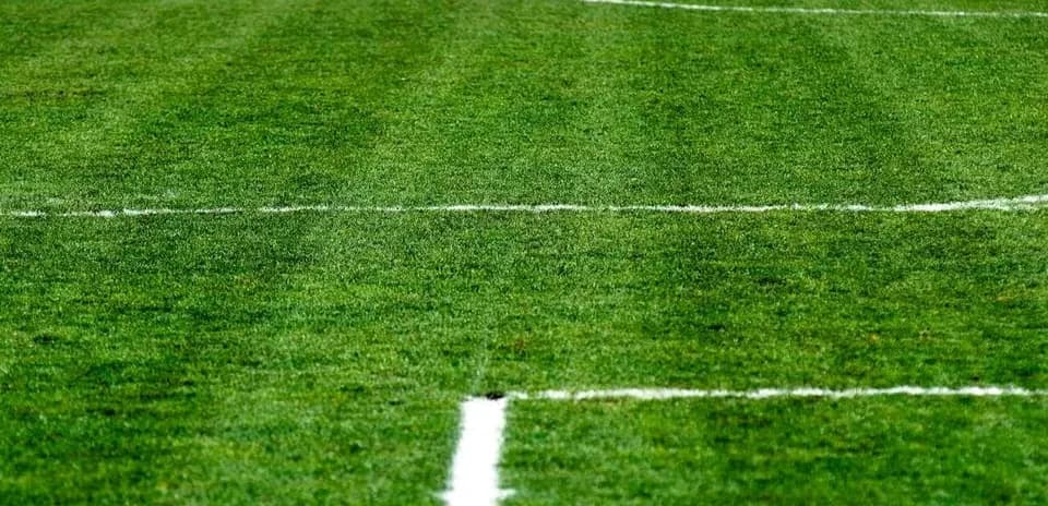 Close-up of freshly marked football pitch grass