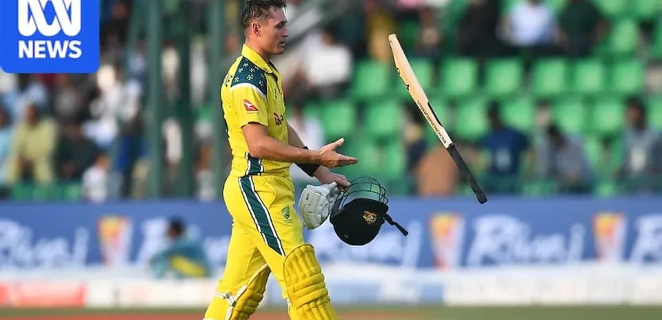 Batsman throwing bat after getting out in cricket match
