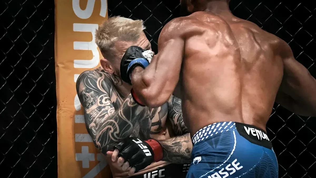 Two fighters engaged in a close combat in octagon Two fighters engaged in a close combat in octagon