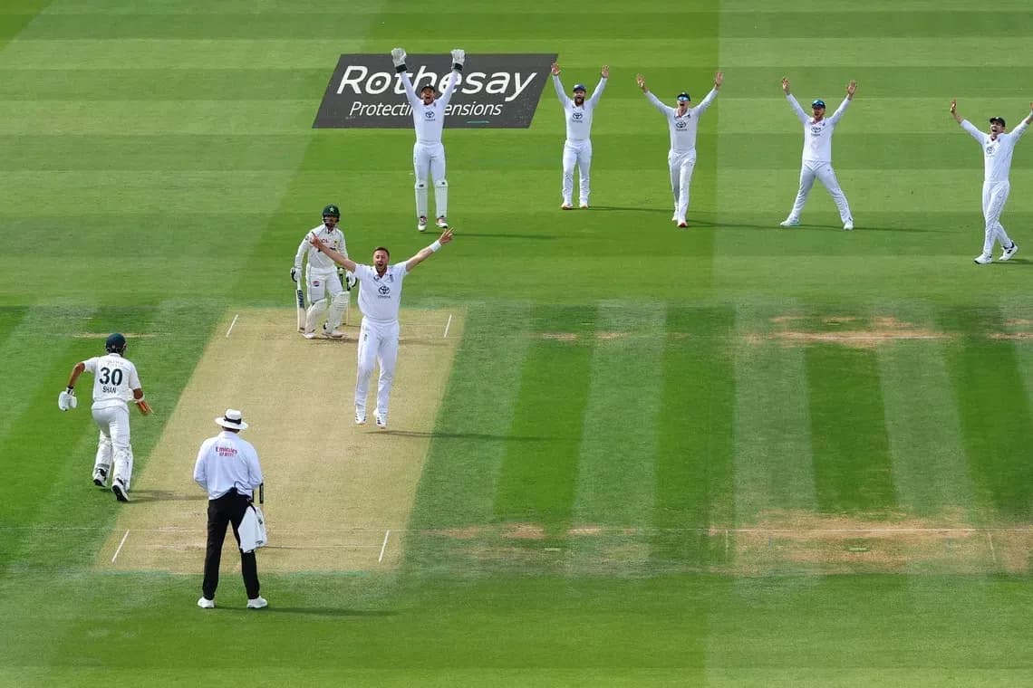 Players celebrating a wicket during a cricket match Players celebrating a wicket during a cricket match