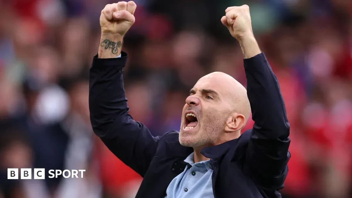 Coach celebrating passionately during a match Coach celebrating passionately during a match