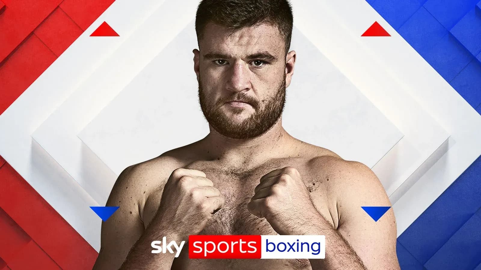 Boxer posing with fists up against a colorful background Boxer posing with fists up against a colorful background