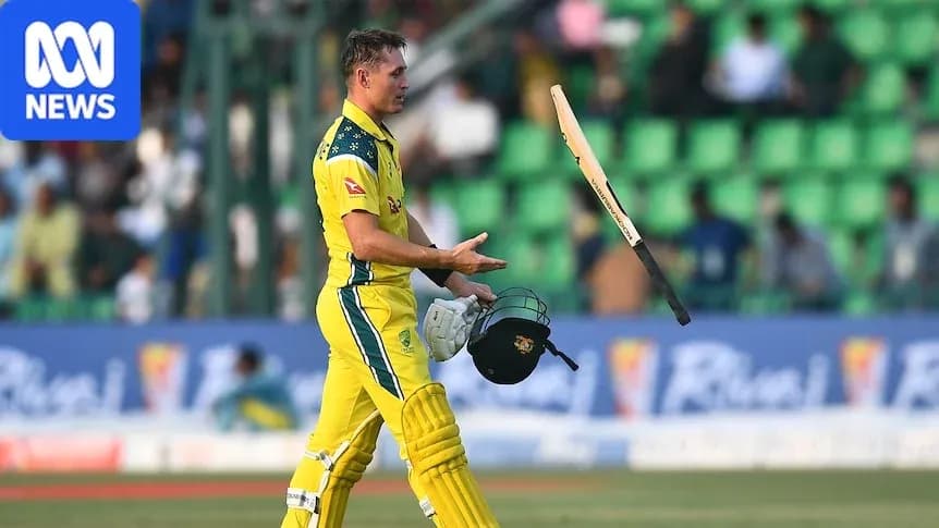 Batsman throwing bat after getting out in cricket match Batsman throwing bat after getting out in cricket match